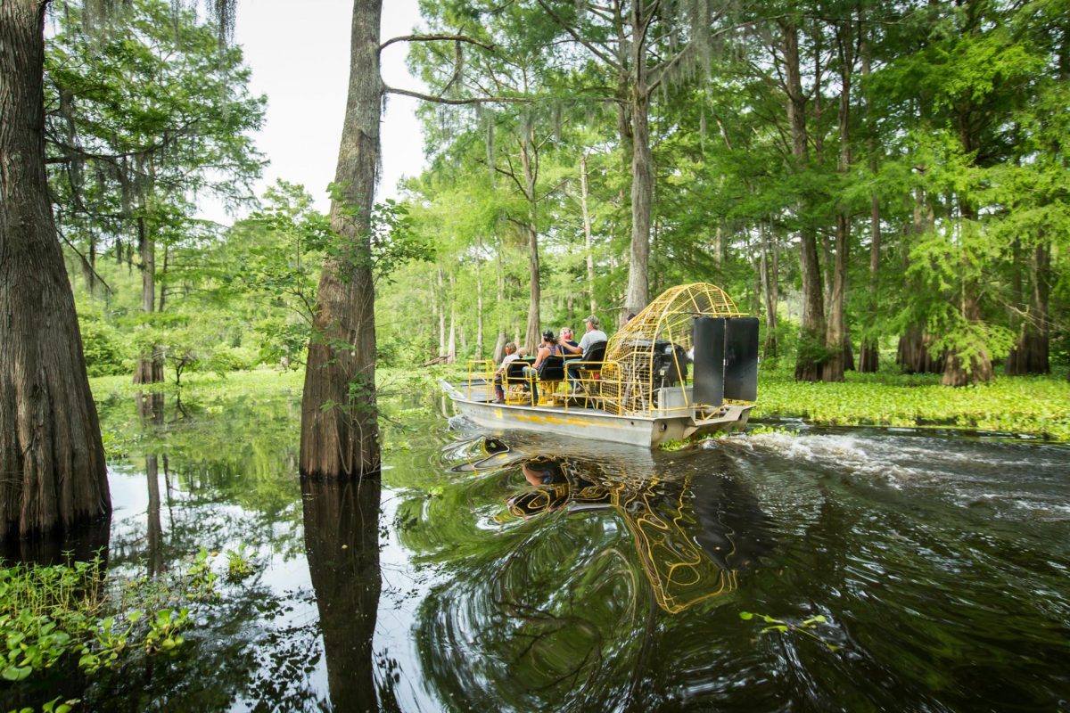 Tourists ride an airboat through the cypress forest of Henderson Swamp with the help of tour guide and airboat captian Byron Lemaire from McGee's Atchafalaya Basin Swamp Tours in Henderson, La.