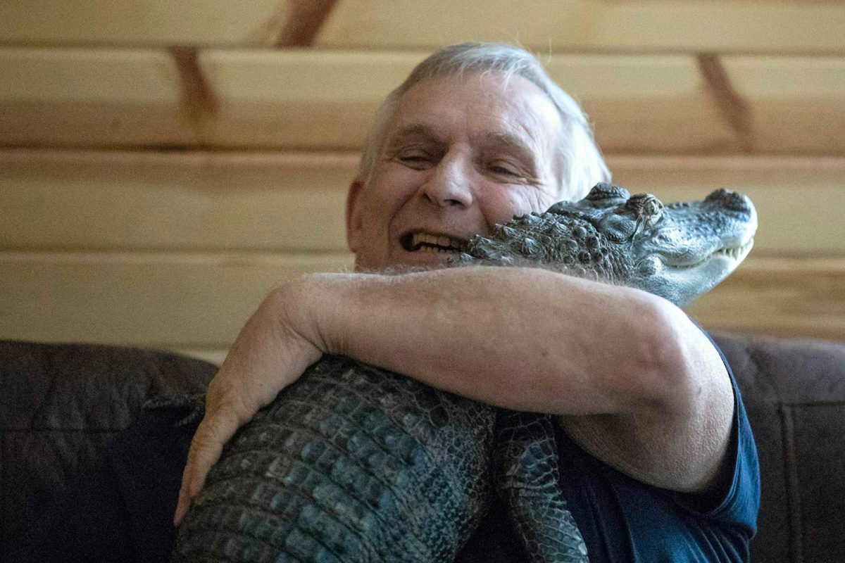 Emotional support gator