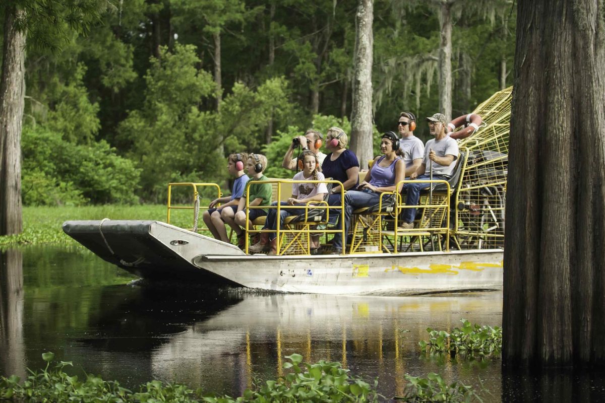 Swamp 5